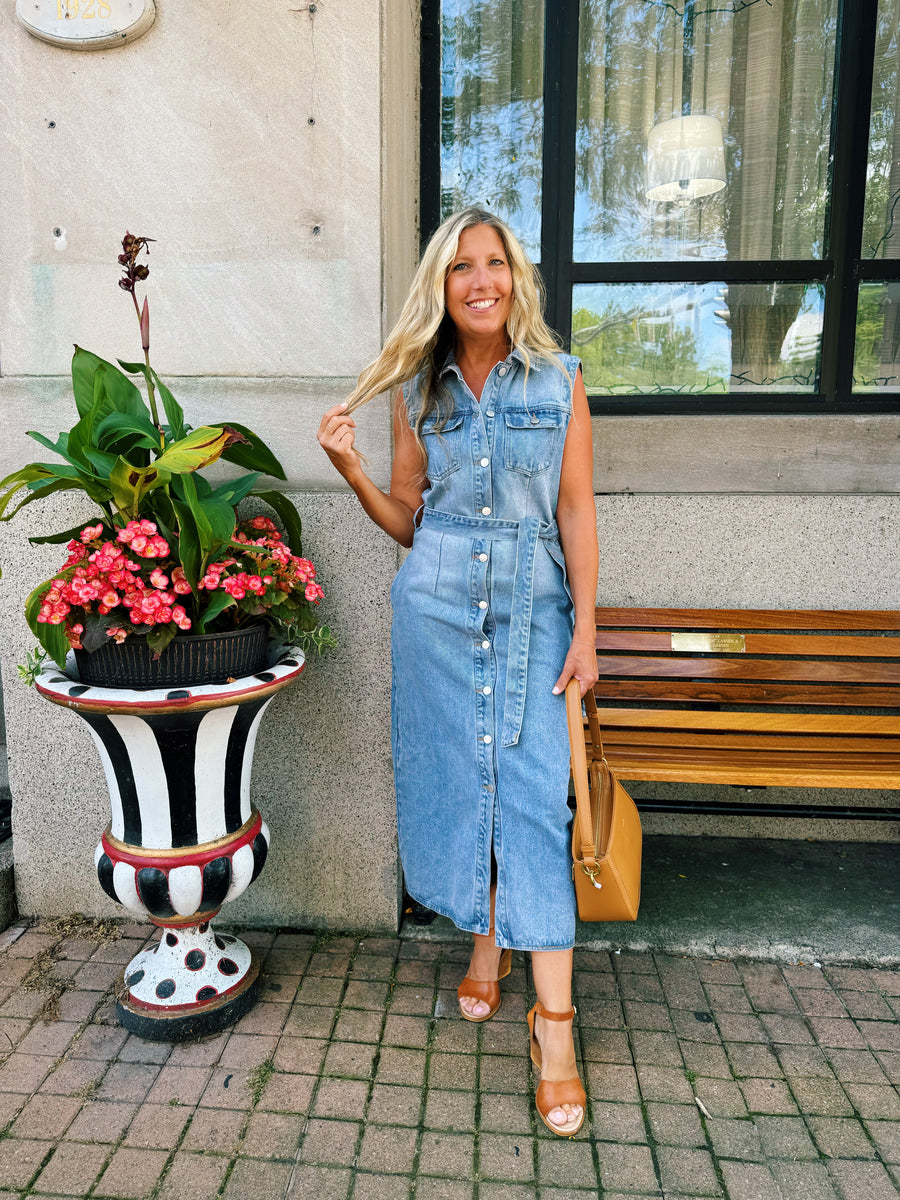 Elise Buttondown Denim Dress