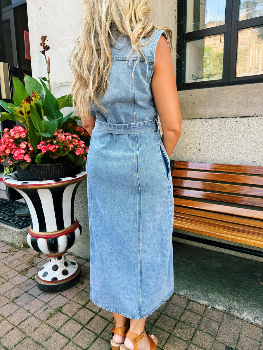 Elise Buttondown Denim Dress