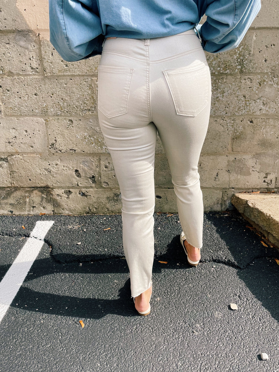 Charlize Coated High Rise Skinny Pant