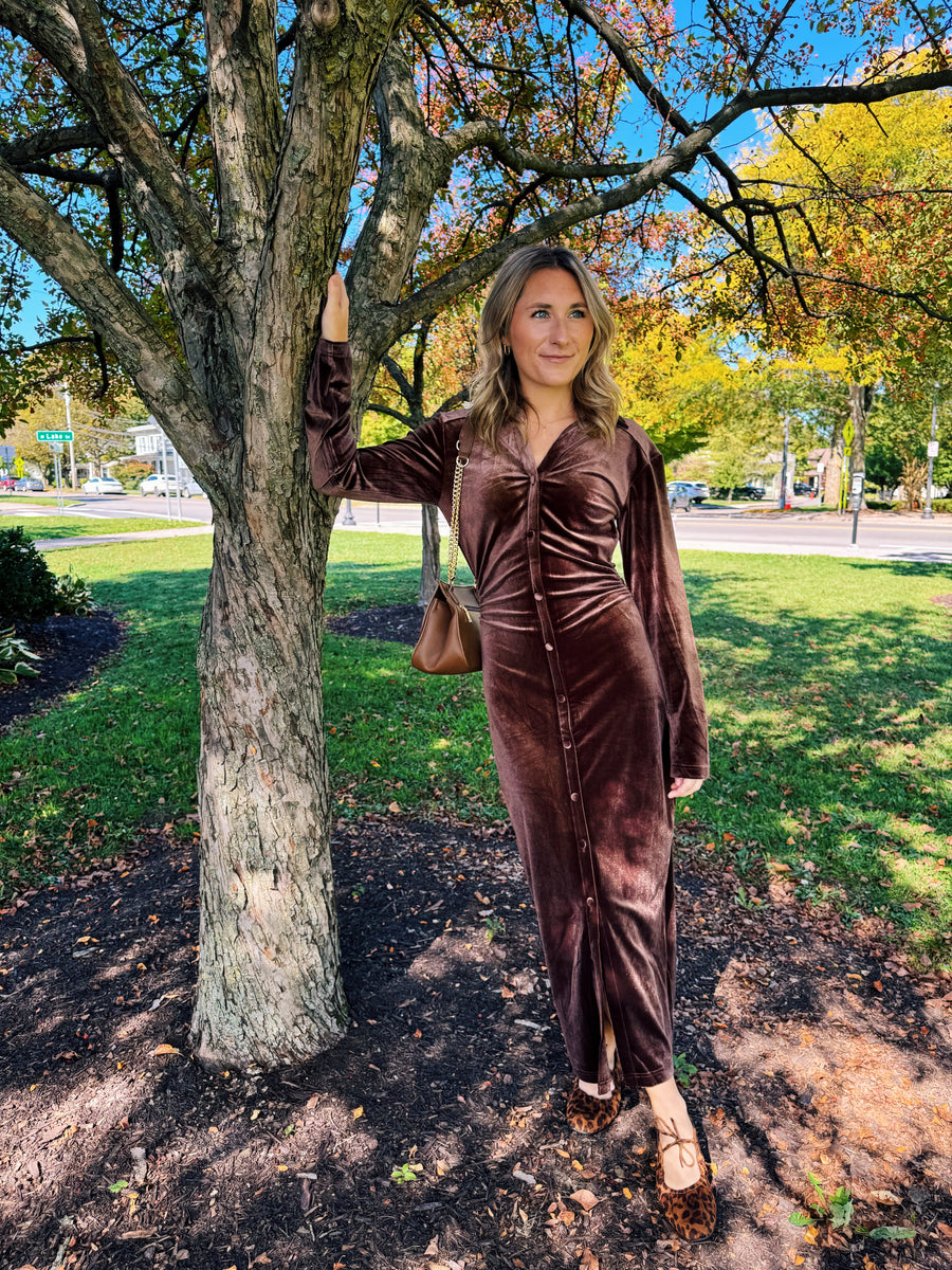 Phoenix Velvet Dress