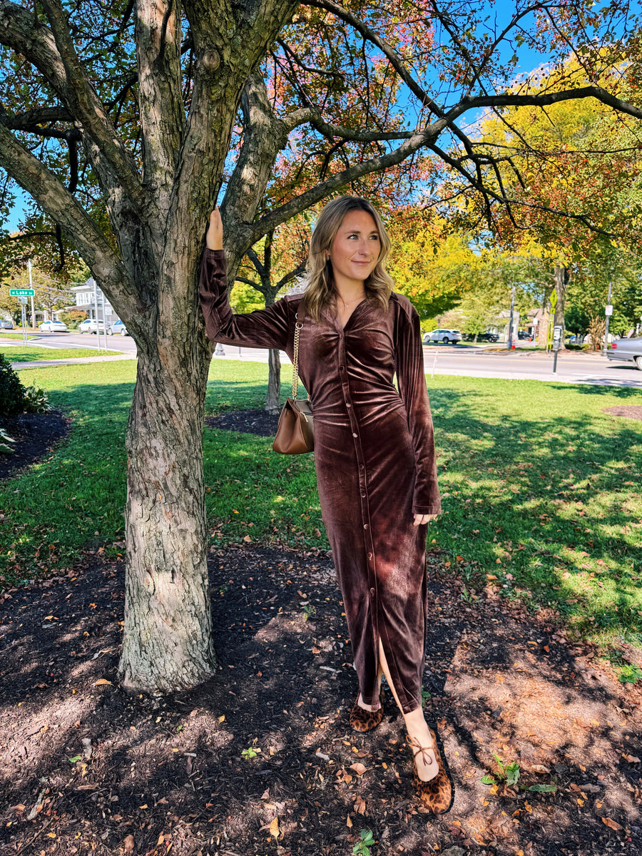 Phoenix Velvet Dress